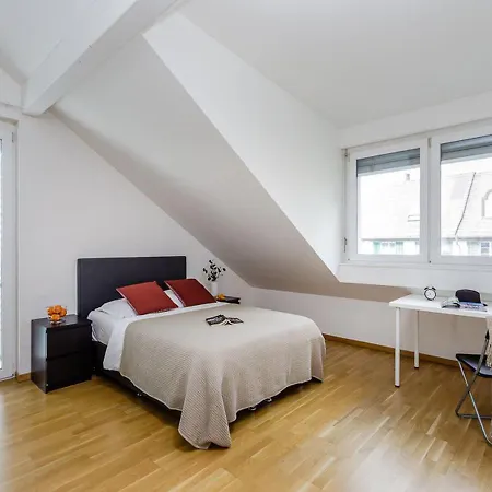 Swiss Star District 10 Apartment *